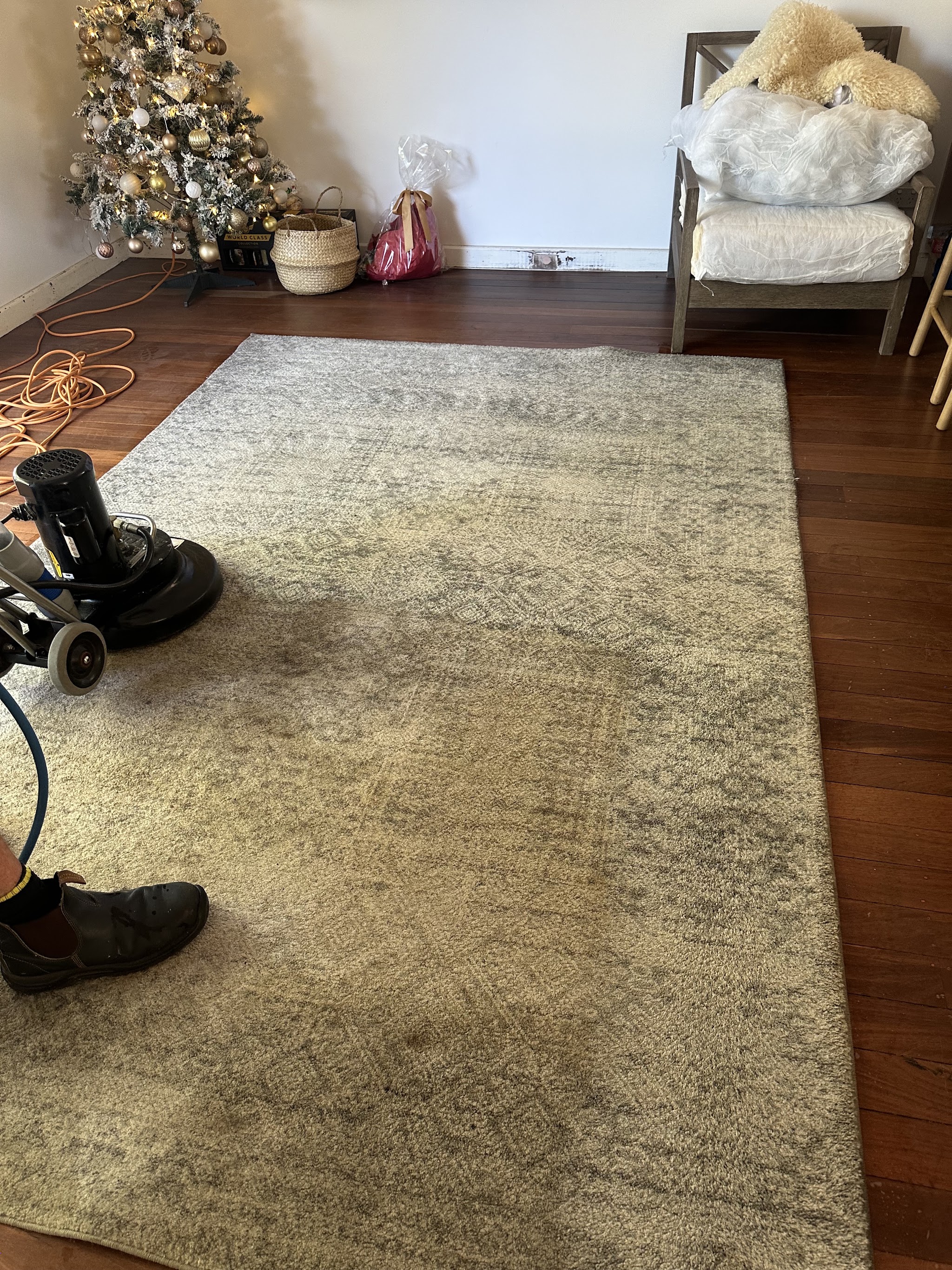 A large wool rug part way through a clean on jarrah floorboards