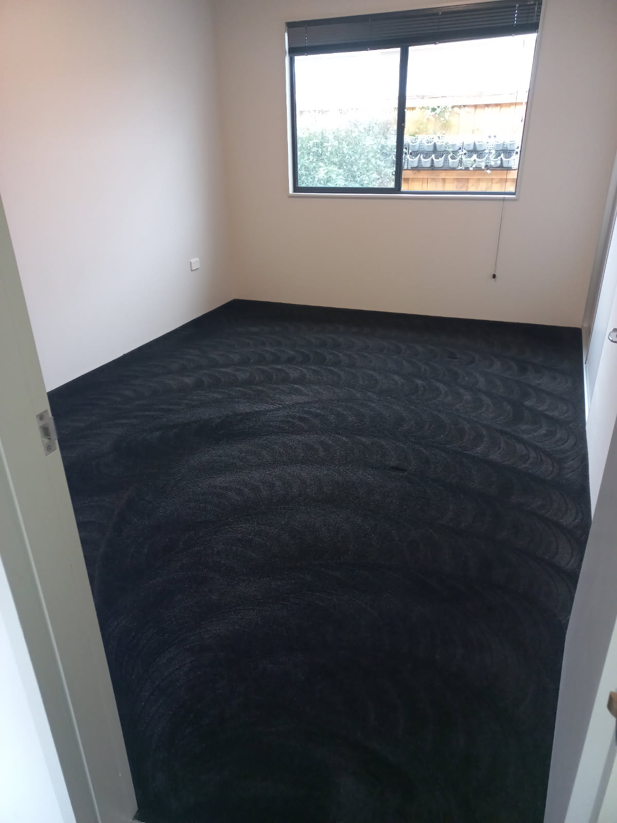 An empty room with dark carpet cleaned end to end