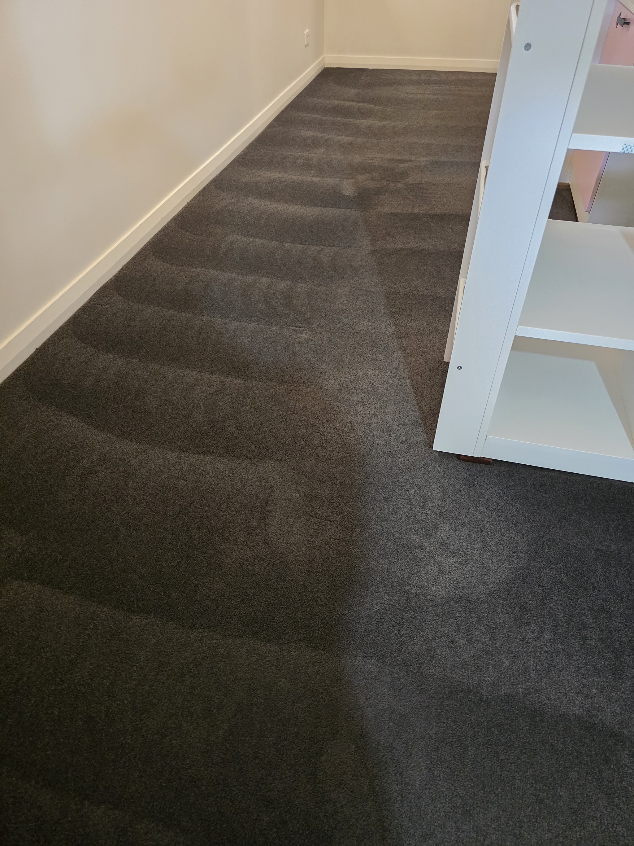 Freshly cleaned charcoal carpet with the wand marks still showing